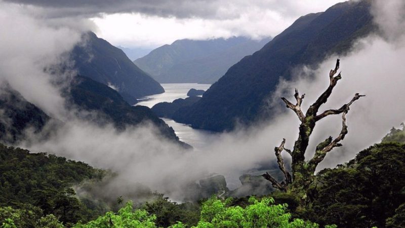 2 Nights 3 Days Shillong Cherrapunjee Dawki Mawlynnong Tour_7