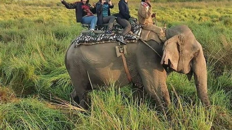 2 night 3 days Ghy-kaziranga_5