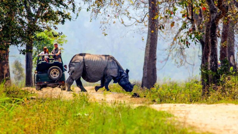 Jeep-Safari-Kaziranga-Assam-8-1160x650
