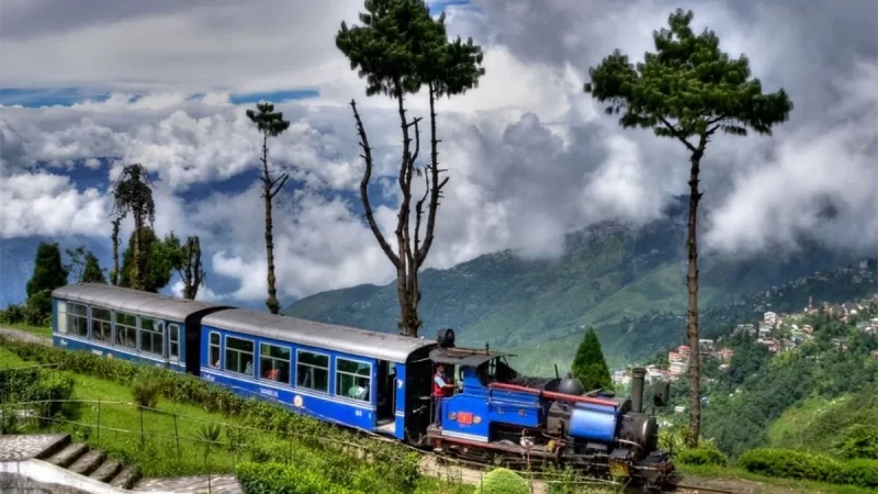 darjeeling1